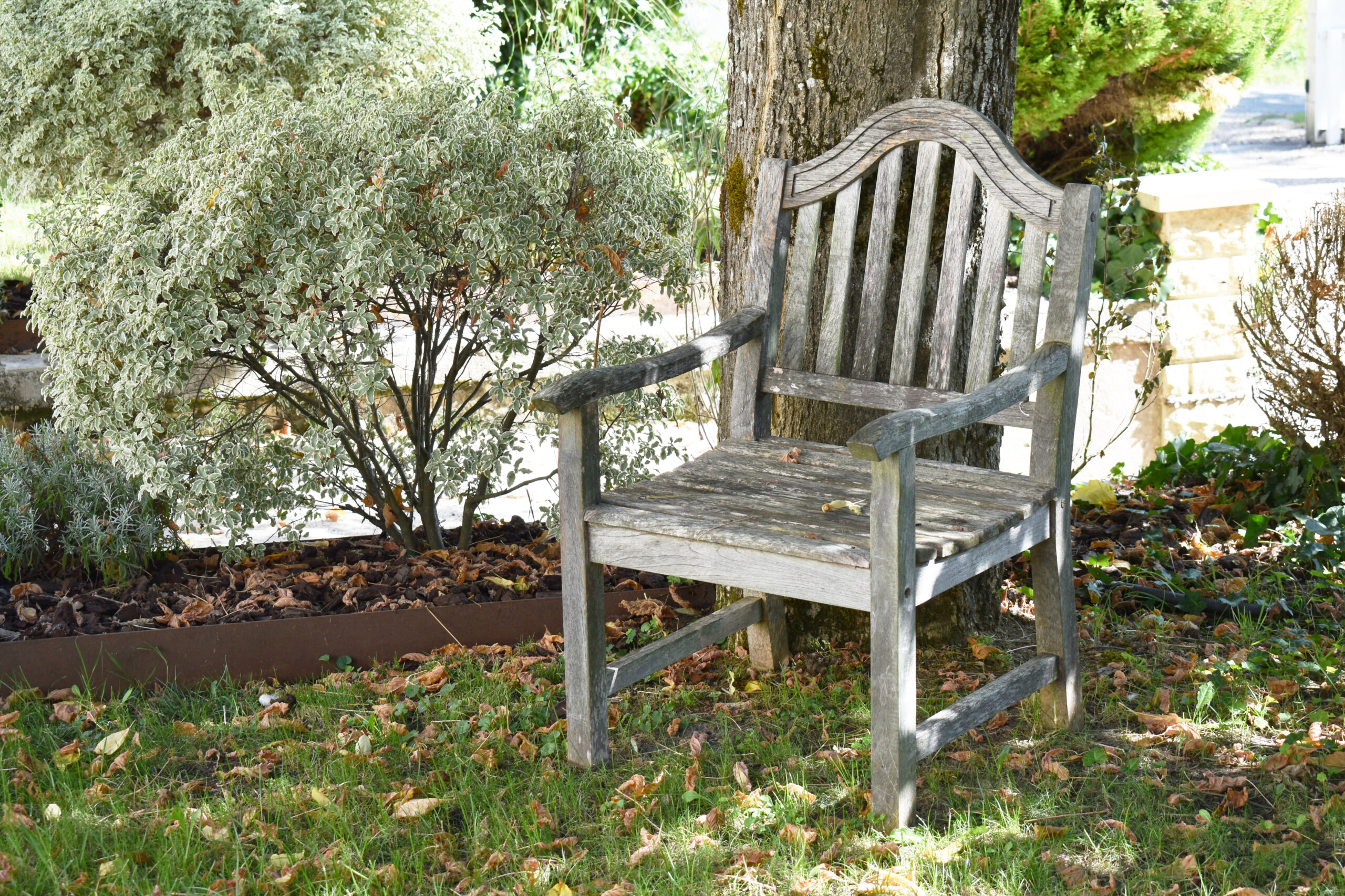 Chair under a tree